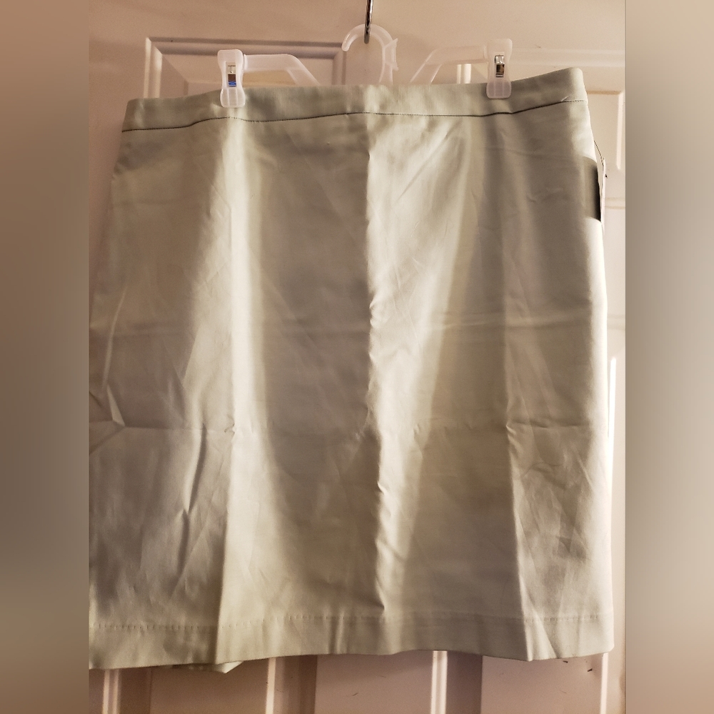 NWT Liz Claiborne Lined Skirt Size 18